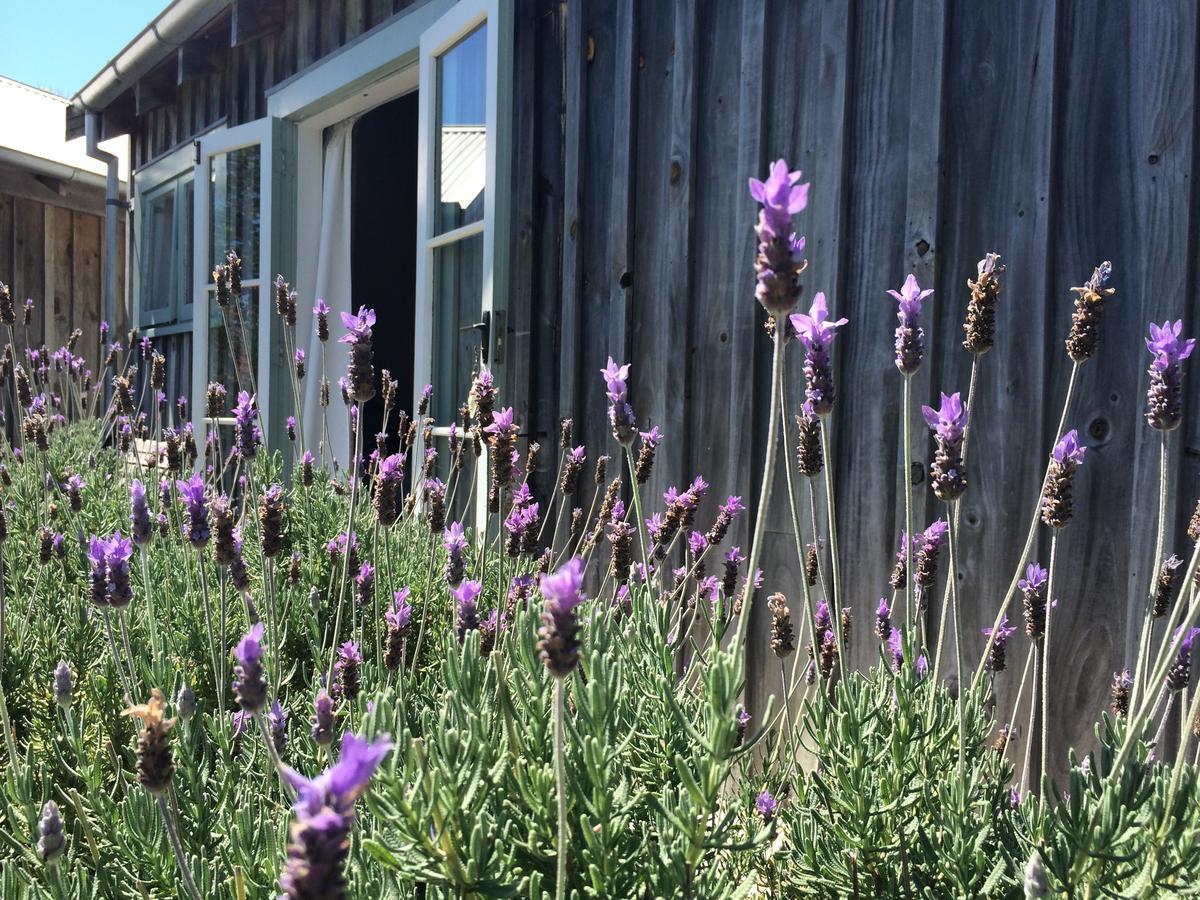 Mangawhai Chalets エクステリア 写真